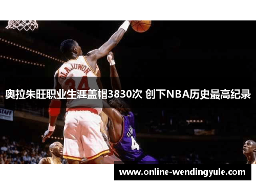 奥拉朱旺职业生涯盖帽3830次 创下NBA历史最高纪录