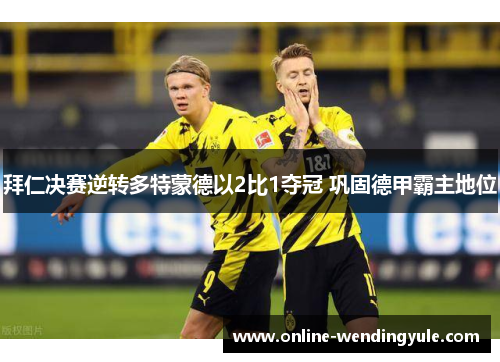 拜仁决赛逆转多特蒙德以2比1夺冠 巩固德甲霸主地位