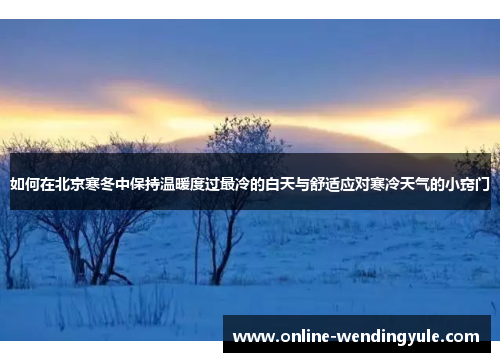 如何在北京寒冬中保持温暖度过最冷的白天与舒适应对寒冷天气的小窍门 如何在北京寒冬中保持温暖度过最冷的白天与舒适应对寒冷天气的小窍门